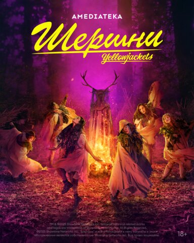 Шершни - постер сериала